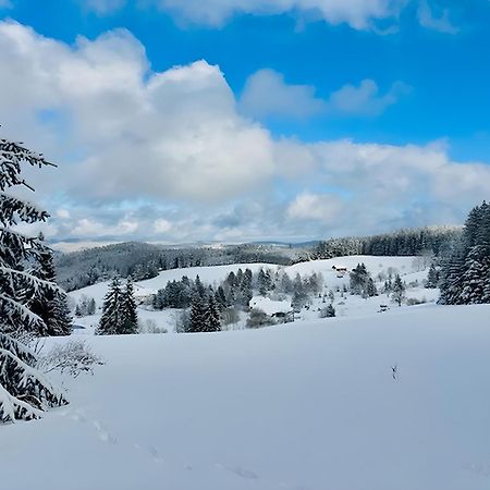 Апартаменты Schwarzwald Nescht Triberg Триберг Экстерьер фото