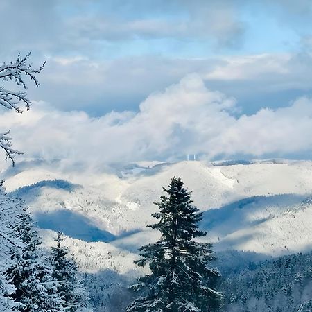Апартаменты Schwarzwald Nescht Triberg Триберг Экстерьер фото