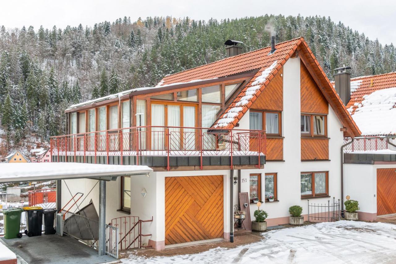 Апартаменты Schwarzwald Nescht Triberg Триберг Экстерьер фото