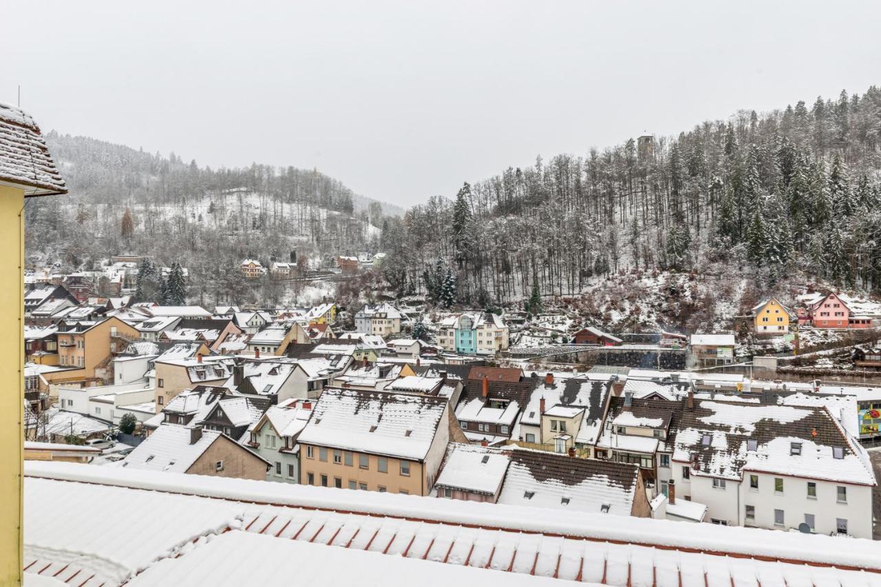 Апартаменты Schwarzwald Nescht Triberg Триберг Экстерьер фото