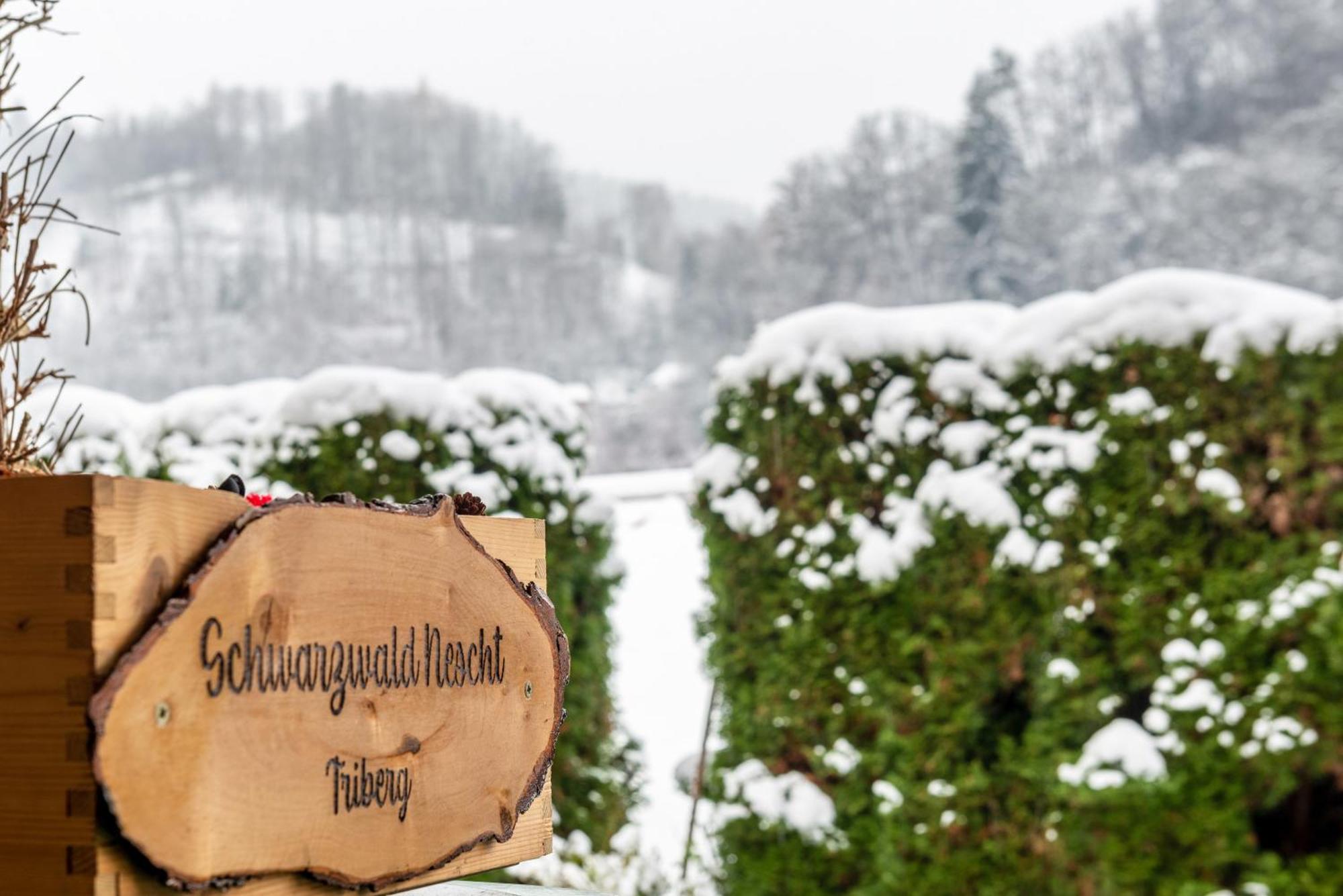 Апартаменты Schwarzwald Nescht Triberg Триберг Экстерьер фото