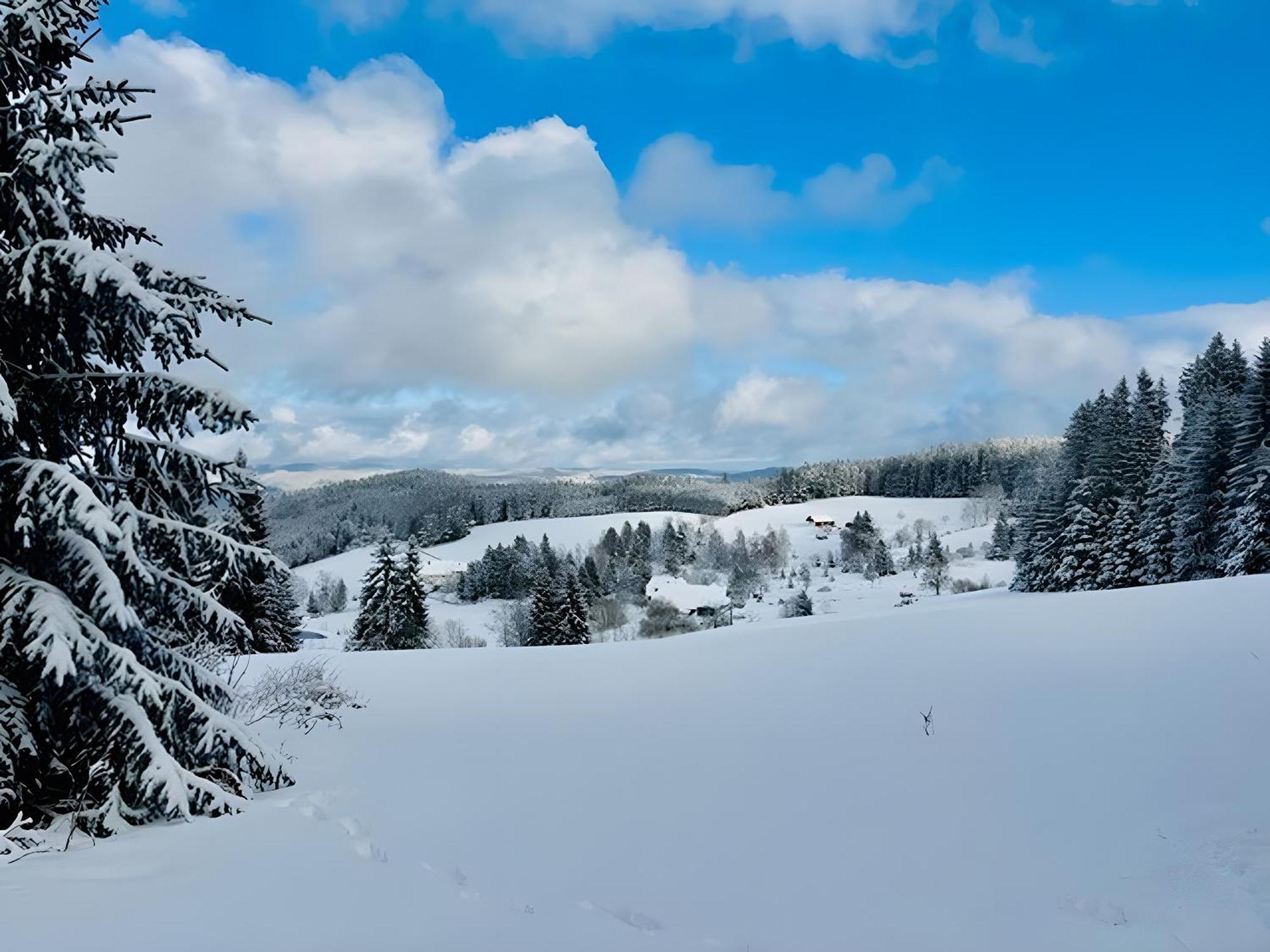 Апартаменты Schwarzwald Nescht Triberg Триберг Экстерьер фото